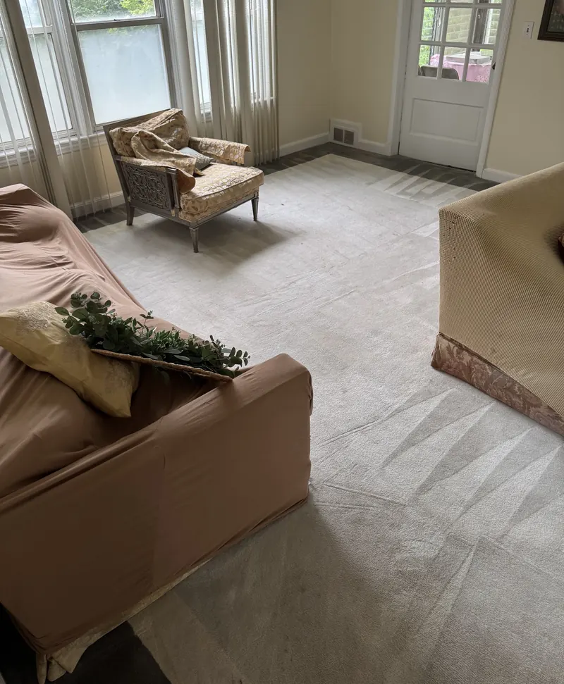 Freshly cleaned carpet with visible wand lines in a room with tall windows