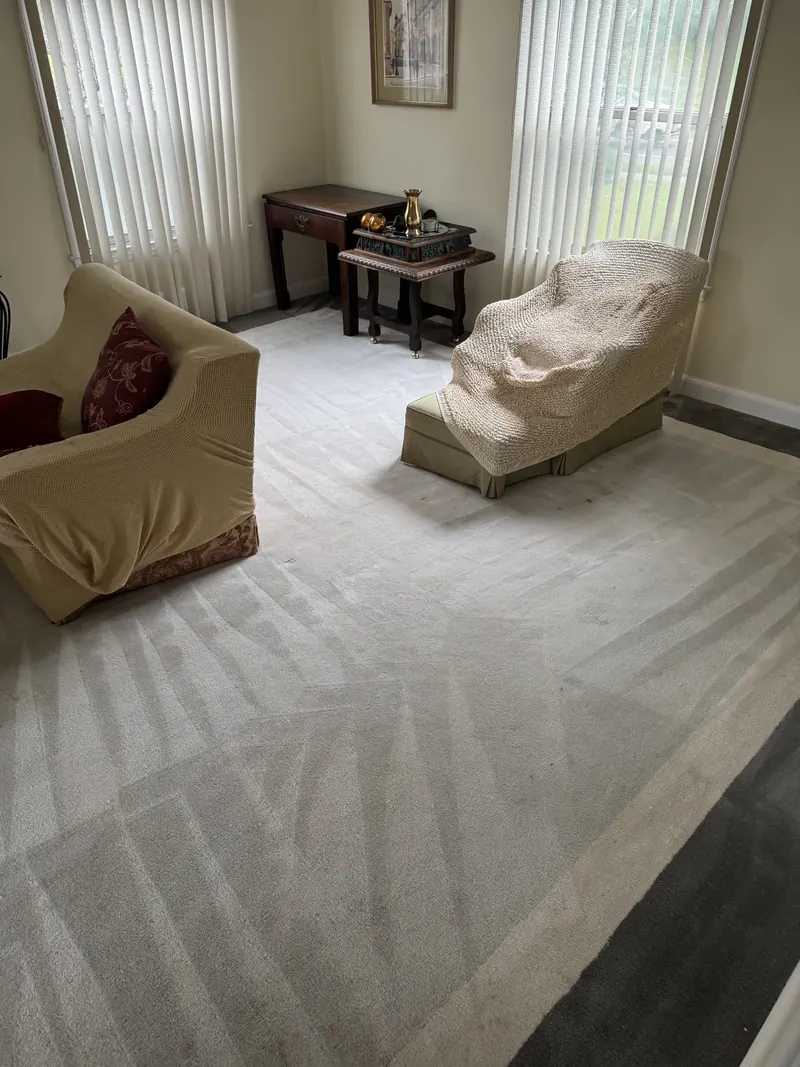 Light carpet showing even cleaning passes in a sitting room with covered armchairs