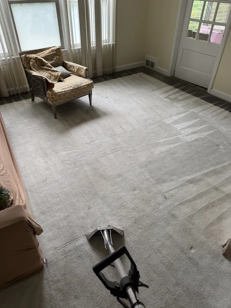 A carpet cleaning wand resting on a gray carpet marked with fresh cleaning passes