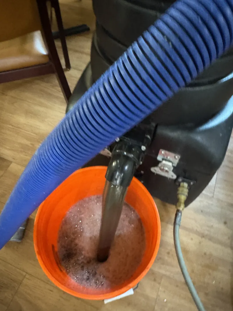 Soiled water from a carpet extraction machine draining into an orange bucket