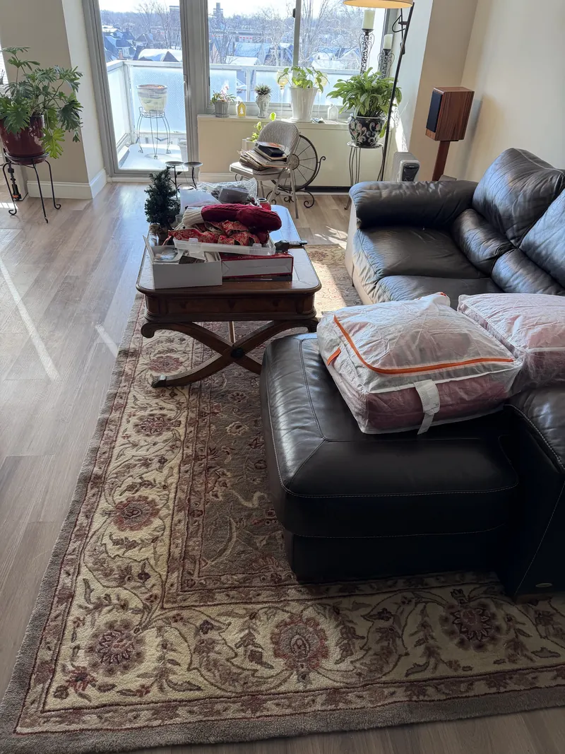 A cream floral Oriental rug under a coffee table in a sunlit living room