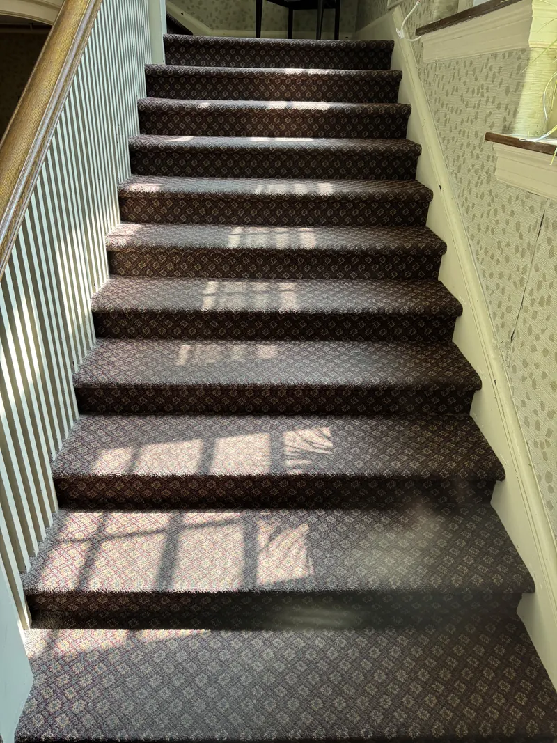 A carpeted staircase with a dark patterned carpet in afternoon light
